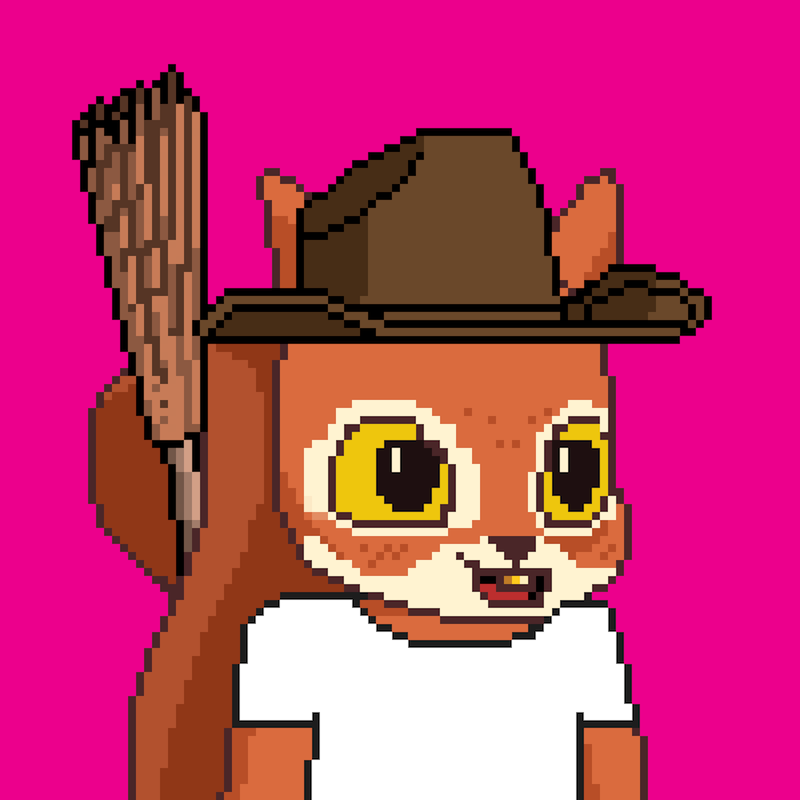 Pixel Squirrels #9360